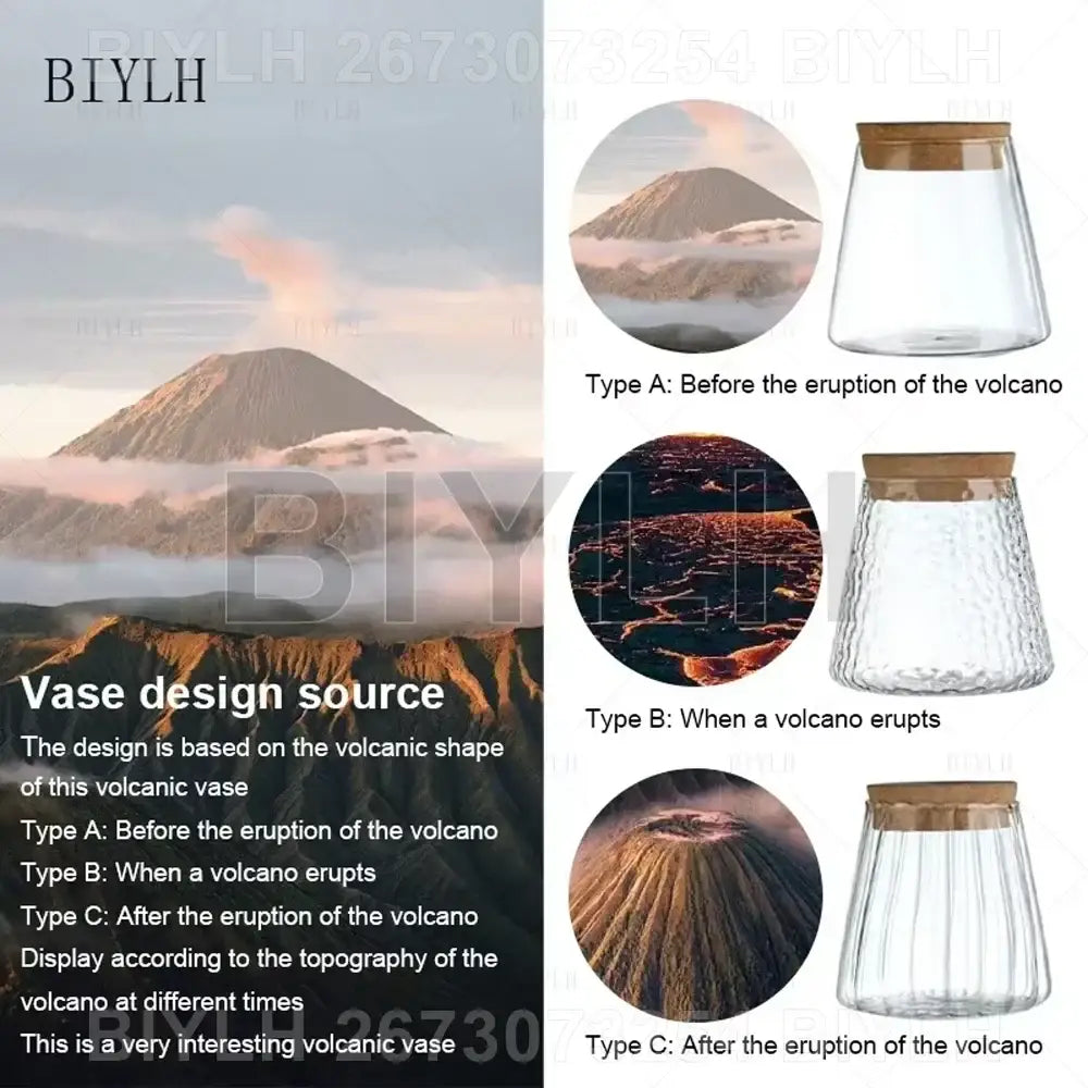 Clear glass flower pots with wooden lids featuring three volcanic eruption inspired textured designs by DecorBites™