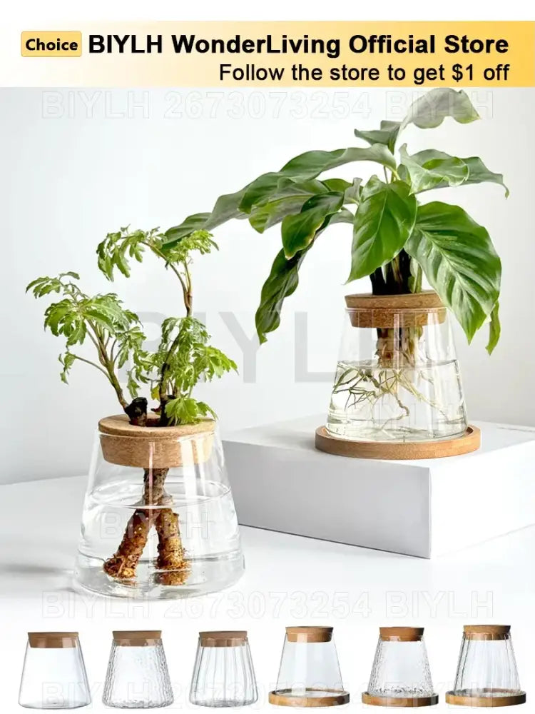 DecorBites™ hydroponic glass flower pots set of 2 with clear glass, wooden lids, and bases in a modern design