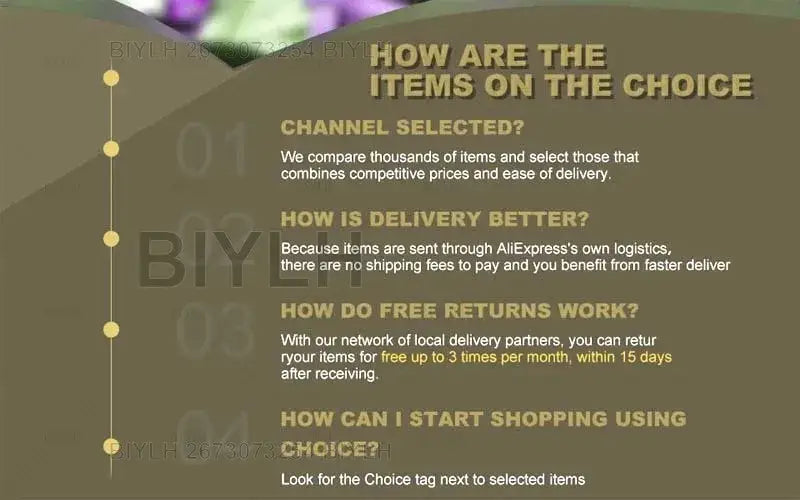 Promotional graphic for DecorBites™ hydroponic glass flower pots set of 2 with gold and white text on dark olive background