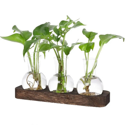 Hydroponic Glass Vase with Wooden Tray - Vase