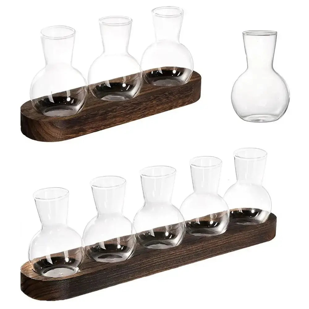 Set of clear hydroponics glass vases with rounded bodies and narrow necks on dark wooden trays by decorbites