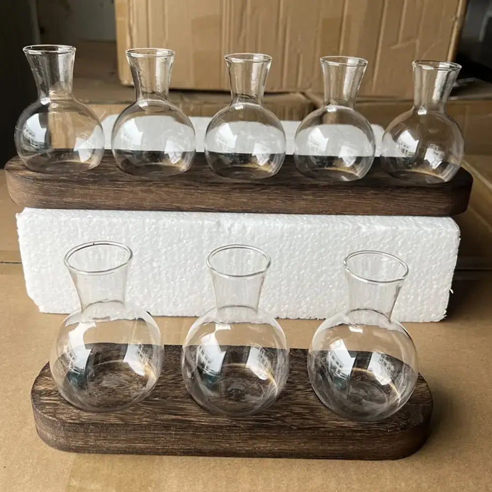 Set of five clear glass vases with short necks for hydroponics on a dark wooden tray by DecorBites