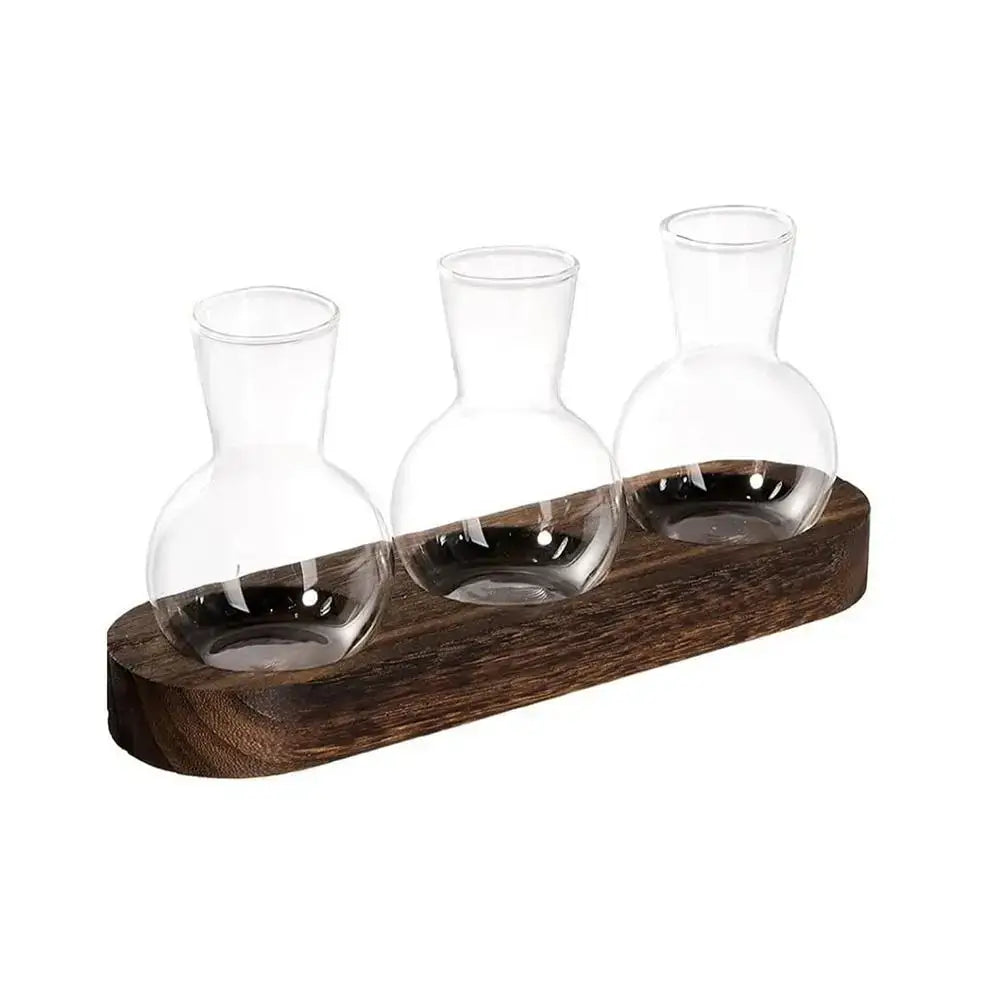Set of three clear hydroponics glass vases with rounded bases and slender necks in a dark brown wooden tray