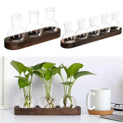 Set of three clear hydroponics glass vases with rounded bases and narrow necks on a dark brown wooden tray