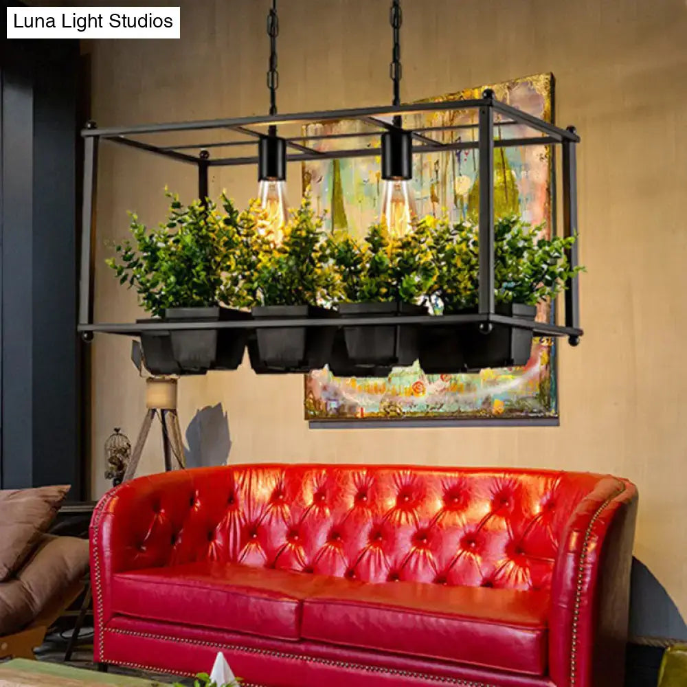 Decorbites industrial cage island pendant light metal rectangular black with 2 bulbs and hanging green plant pots