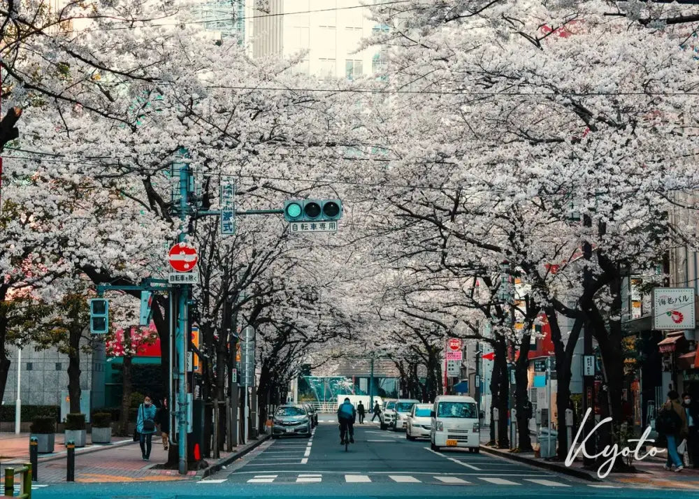 Decorbites™ japanese city landscape canvas wall art featuring a white cherry blossom canopy over a quiet street