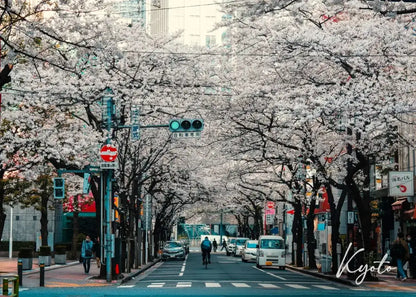 Decorbites™ japanese city landscape canvas wall art featuring a white cherry blossom canopy over a quiet street