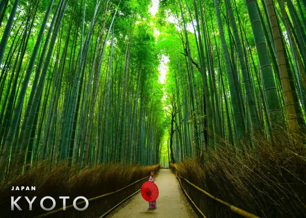DecorBites™ Japanese city landscape canvas wall art featuring a vibrant red paper umbrella in Kyoto bamboo forest