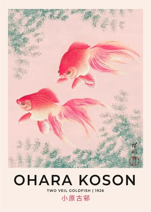 Delicate pink and white art poster print of two ornamental goldfish swimming among green aquatic plants by decorbites