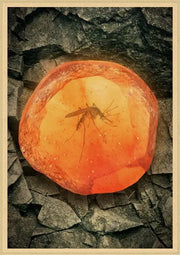 Translucent orange amber stone encasing a preserved mosquito featured in jurassic park dinosaur canvas wall art by decorbites