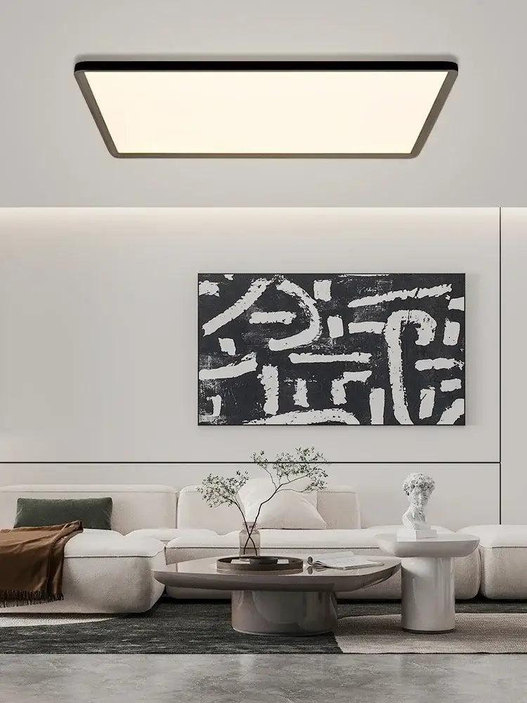 Modern rectangular decorbites led ceiling light with sleek black frame and soft white illumination for home decor