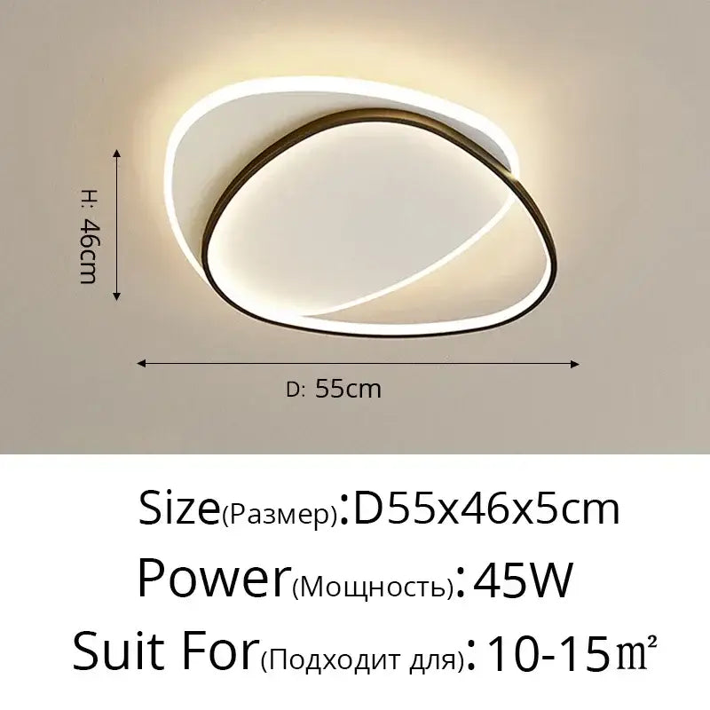 Modern minimalist decorbites led ceiling light with double-ring dark metallic frame and white diffused led ceiling lights