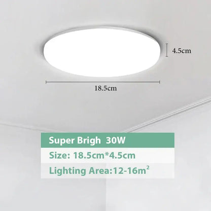 DecorBites LED ceiling lights sleek white oval 30w super bright LED ceiling lights for modern spaces 16 sqm illumination