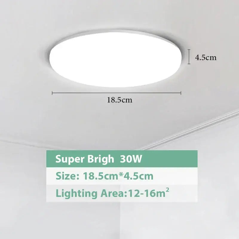 DecorBites LED ceiling lights sleek white oval 30w super bright LED ceiling lights for modern spaces 16 sqm illumination