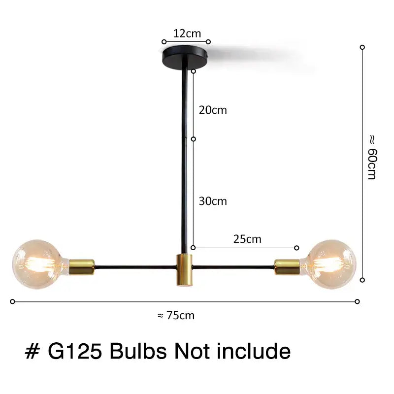 Decorbites led ceiling industrial pendant light with black iron and brass finish featuring two exposed bulb sockets