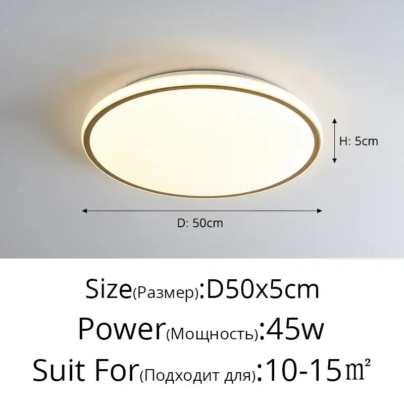 Modern circular DecorBites LED ceiling lights with warm white glow and gold metallic rim for living room lighting fixtures