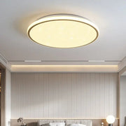 Decorbites led ceiling light with warm diffused glow and sleek metallic rim ideal for living room lighting fixtures