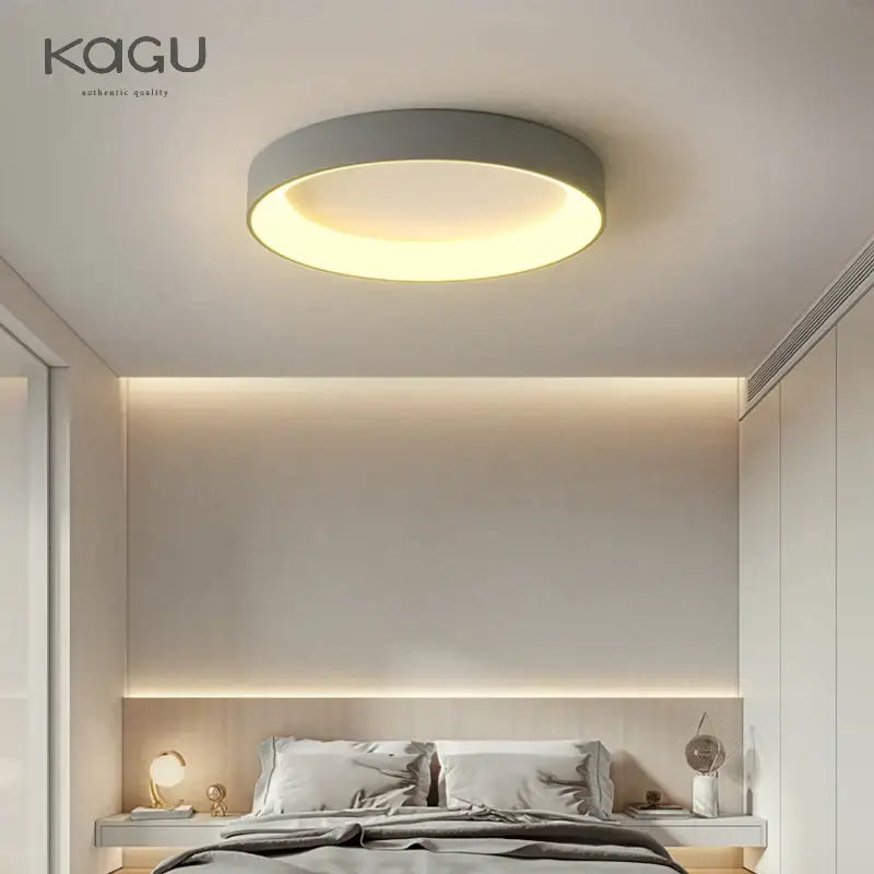 Modern circular decorbites led ceiling light with sleek gray frame and warm diffused glow for living room use