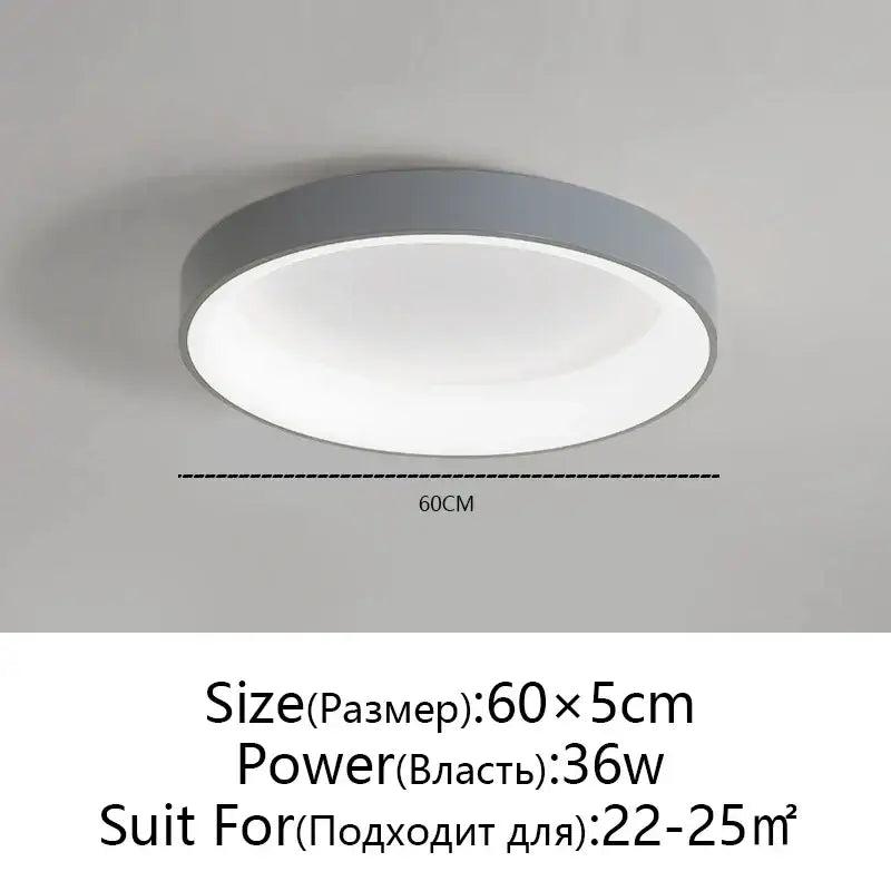 Modern circular decorbites led ceiling light with gray metallic frame and white diffused glass panel for living spaces