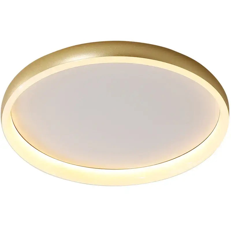 Modern circular decorbites led chandelier lights with gold metallic frame and soft white illumination for home lighting