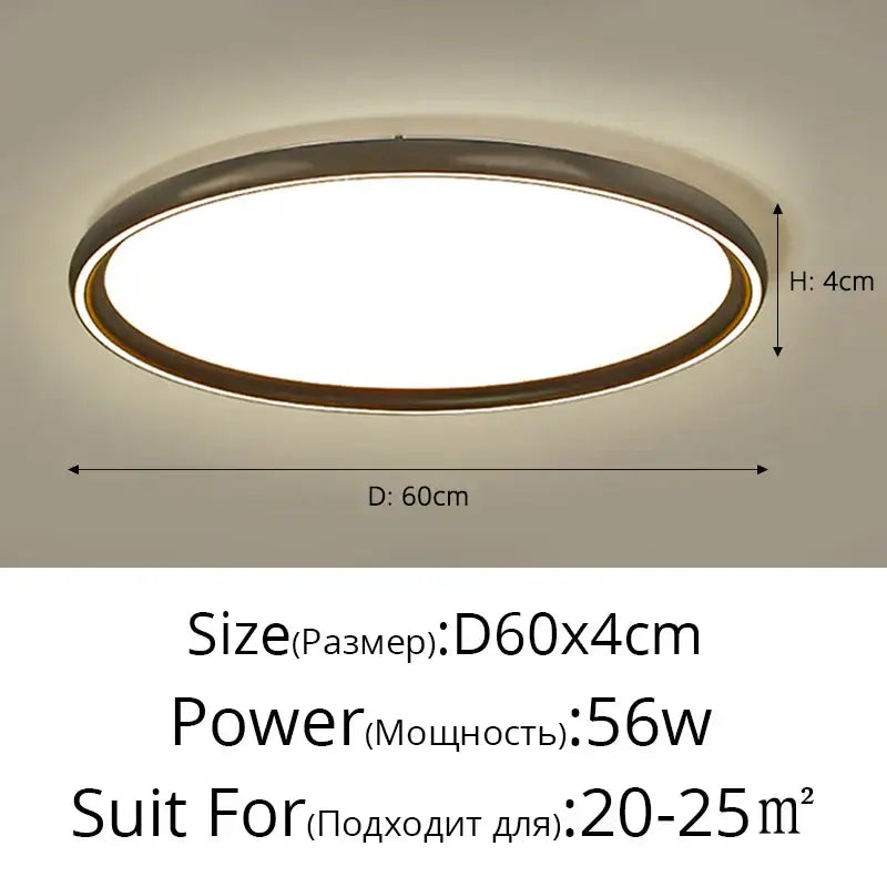 Modern oval decorbites led chandelier with sleek metallic frame and bright white LED panel for home lighting fixtures