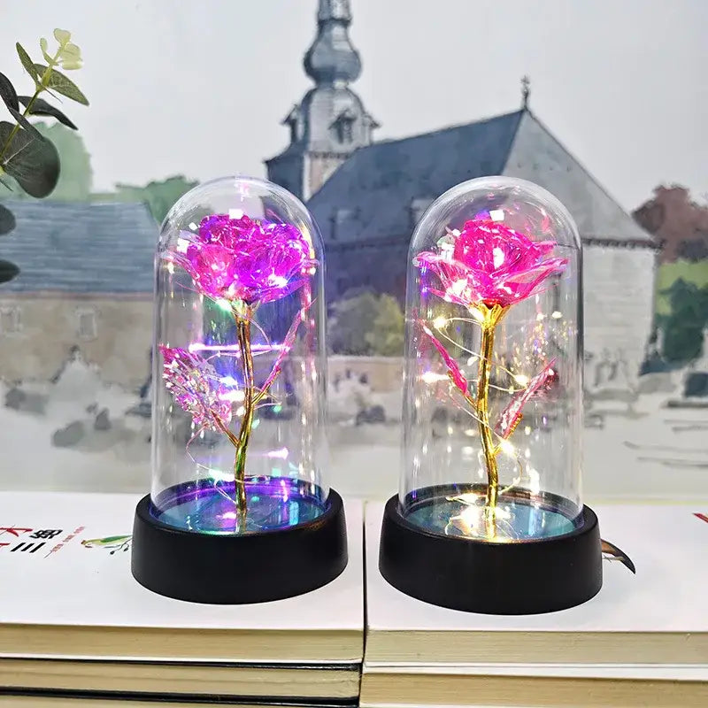 Two pink illuminated LED eternal roses with golden stems encased in glass domes for Valentine’s Day and weddings