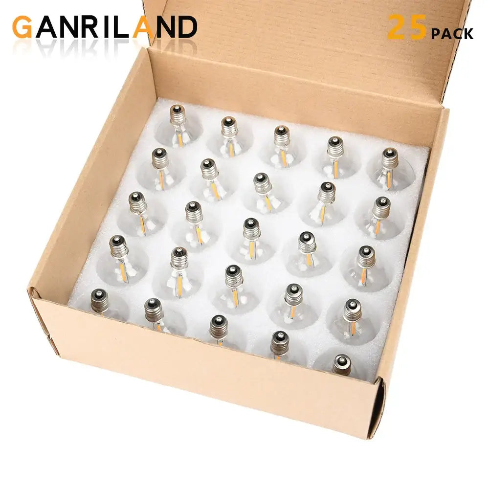 Twenty-five clear glass decorbites led g40 e12 bulbs with metallic screw bases arranged in a cardboard box for outdoor use