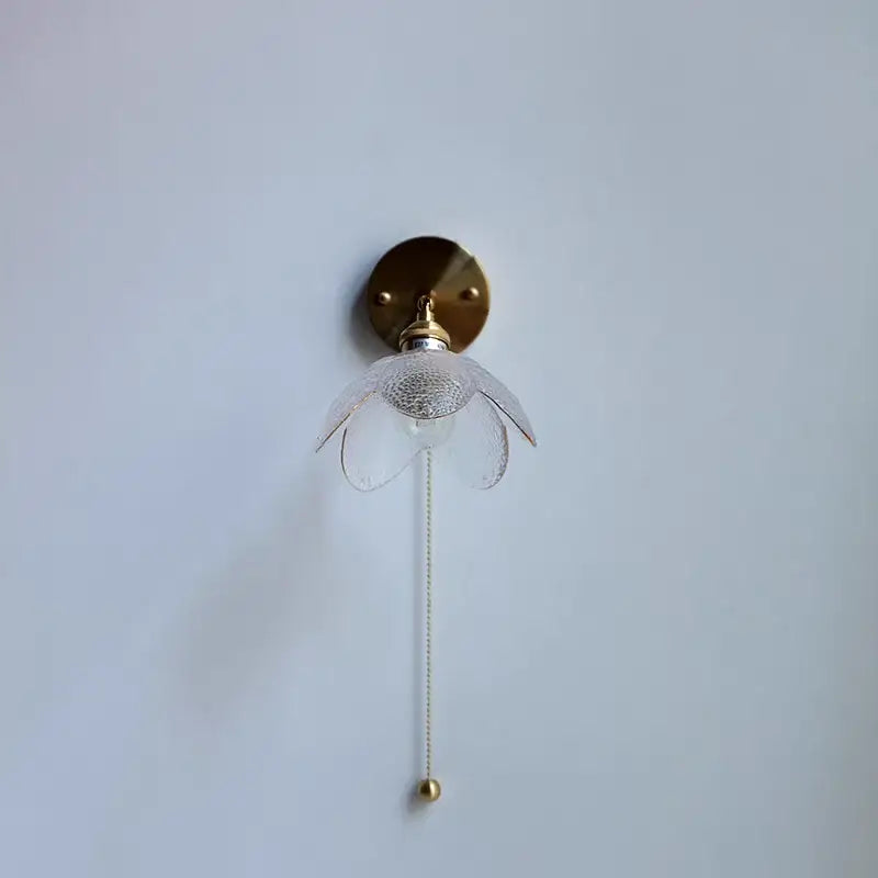 DecorBites™ LED glass wall light fixture with a brass base and pull chain for modern living room or bar use