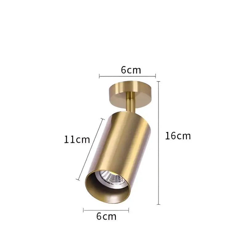 Brass-finished cylindrical decorbites led golden ceiling light with visible led bulb for living and dining rooms