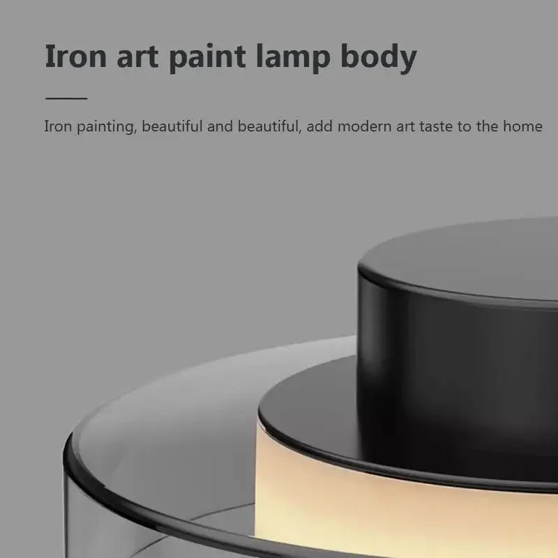 Decorbites led iron acrylic pendant featuring a black iron art paint body with warm ambient lighting for modern interiors