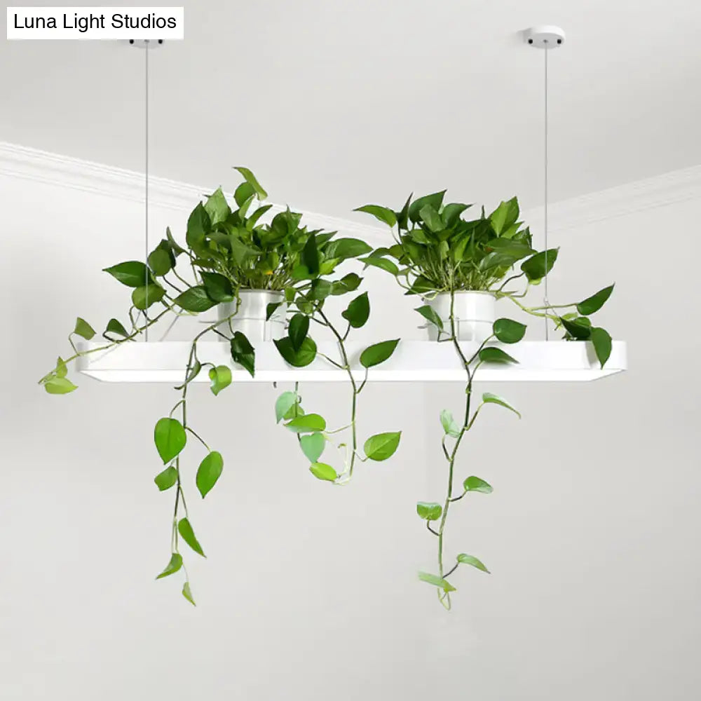 White rectangular acrylic hanging planter with two green plants suspended by cords in warm white light fixture