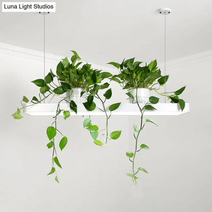 White rectangular acrylic hanging planter with two green plants suspended by cords in warm white light fixture