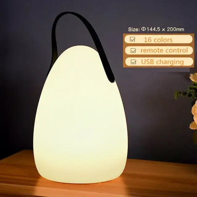 Decorbites™ led night light is a sleek white portable lamp with a black handle and usb charging for home and outdoors