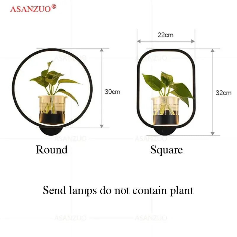 Black framed DecorBites™ led plant wall lamp with clear glass container for roots and water in modern square design