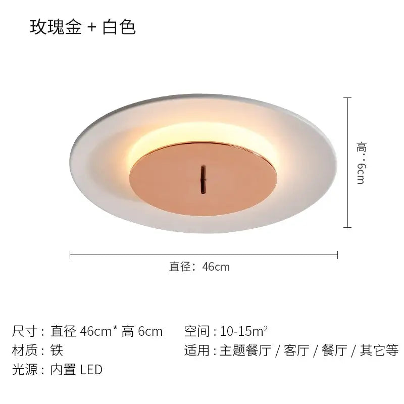 DecorBites™ led round ceiling light with white outer ring and rose gold inner circle for indoor living spaces