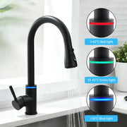 Black matte finish DecorBites LED single hole kitchen faucet with pull out spout and LED temperature indicator lights