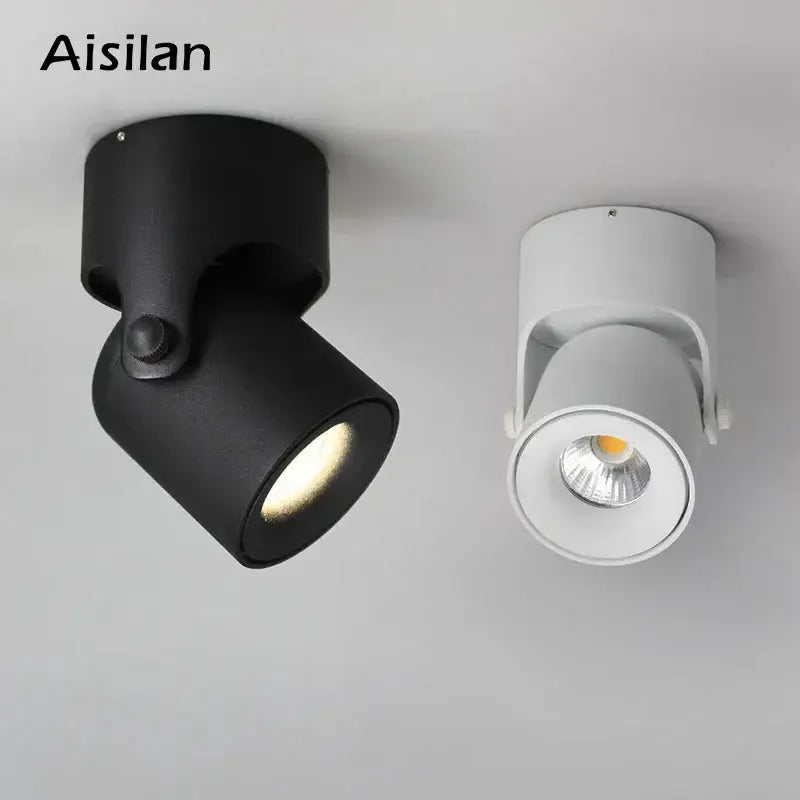 Decorbites led spot black and white aisilan adjustable led spot light cob with matte finish for foyer ceiling lighting