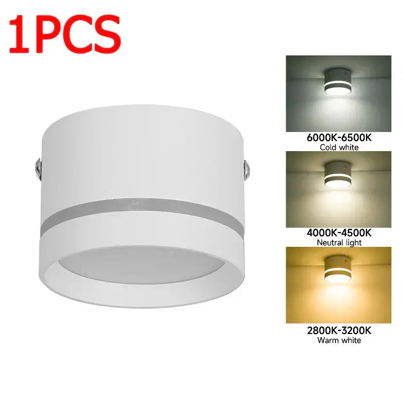 White cylindrical decorbites led spot ceiling downlight with silver accent band in cold, neutral, and warm white options