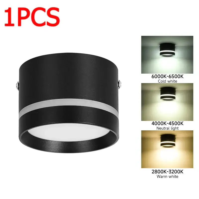 Black cylindrical decorbites led spot lighting ceiling downlight with silver accent and adjustable color temperature settings