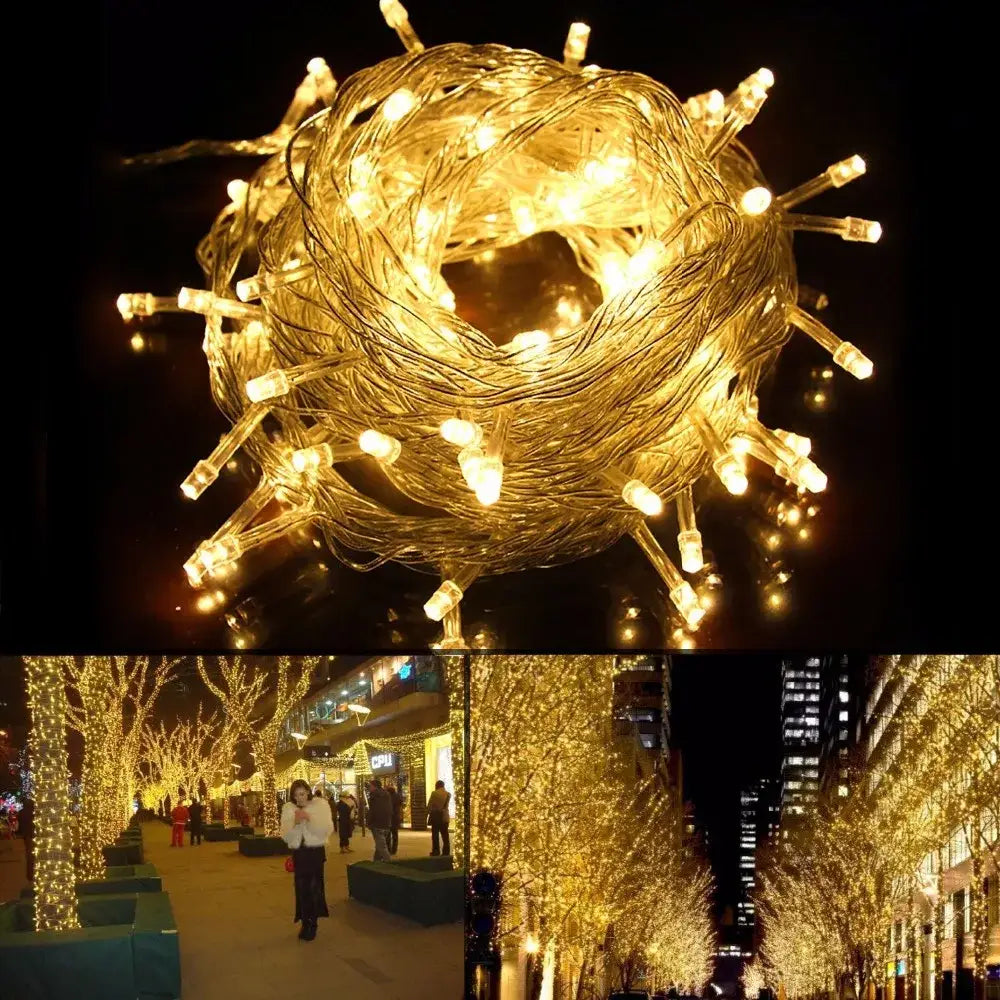 Decorbites led string warm white led string lights coiled in a spherical shape with clear bulbs and thin wire