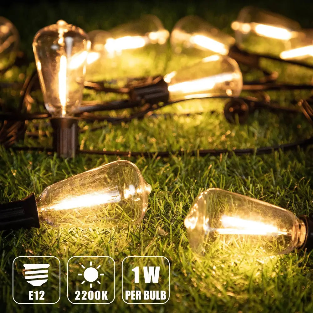 Warm glowing edison-style glass bulbs with black metal bases in decorbites led string outdoor waterproof lights