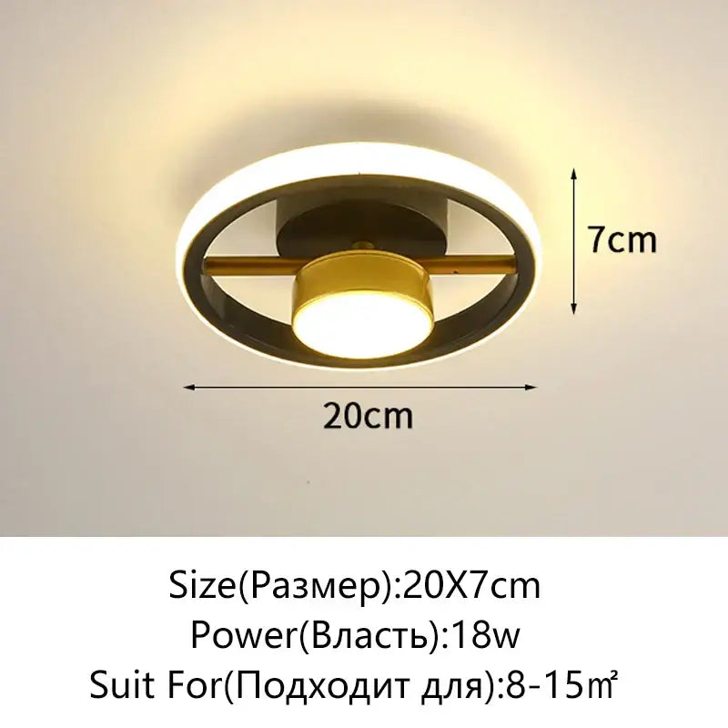 DecorBites led surface mounted ceiling lights with gold-toned bulb, black ring, and white diffuser for home lighting