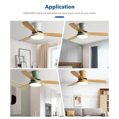 Modern decorbites low profile ceiling fan with black ABS blades and light for indoor use
