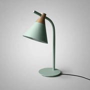 DecorBites metal conical table lamp with matte mint green metal body wooden neck accent and curved gooseneck design
