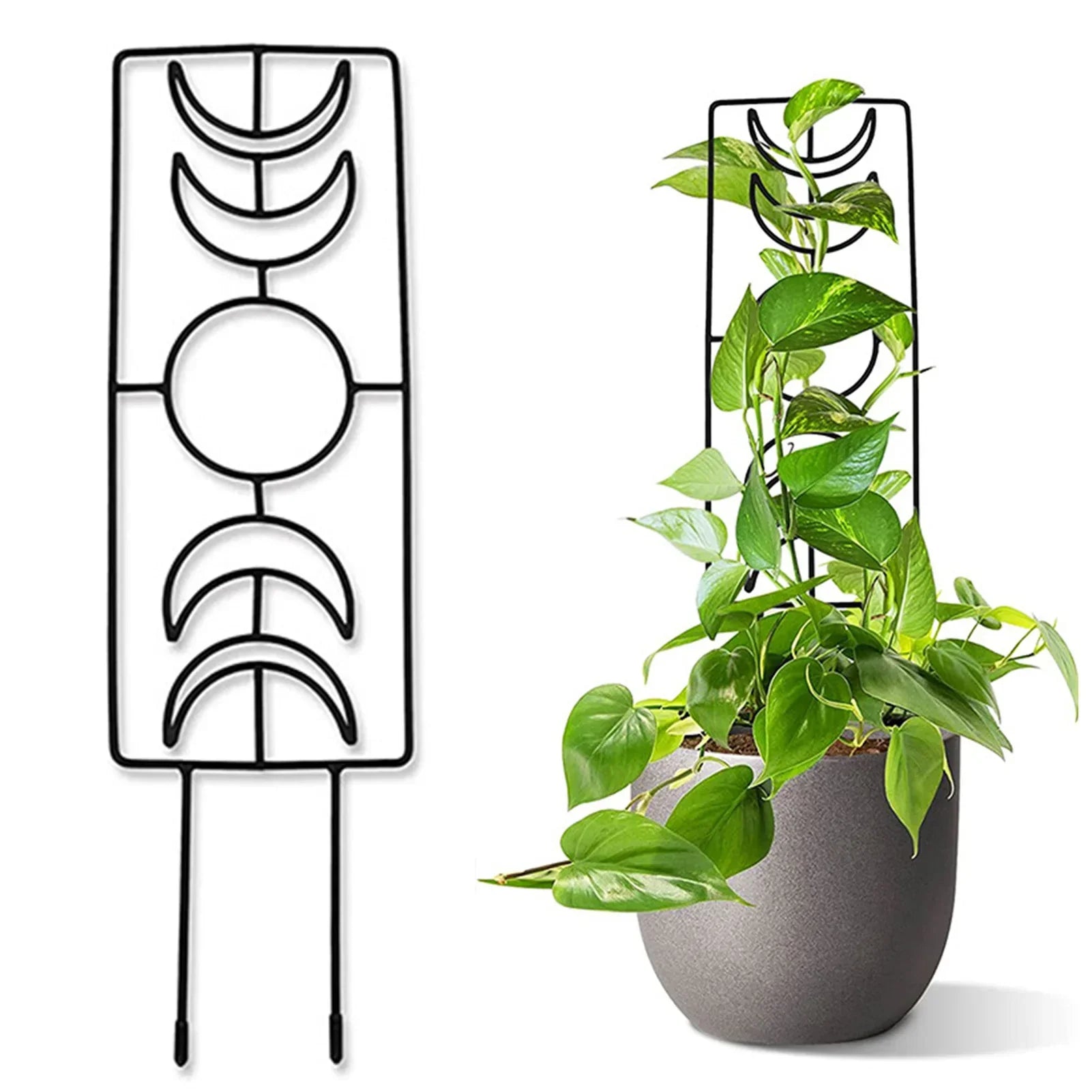 Decorbites metal garden plant stand in black metal with moon phase trellis for indoor and outdoor use