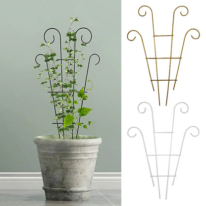 Black wrought iron metal garden plant stand with curved ornate ends supporting climbing vine in textured gray pot