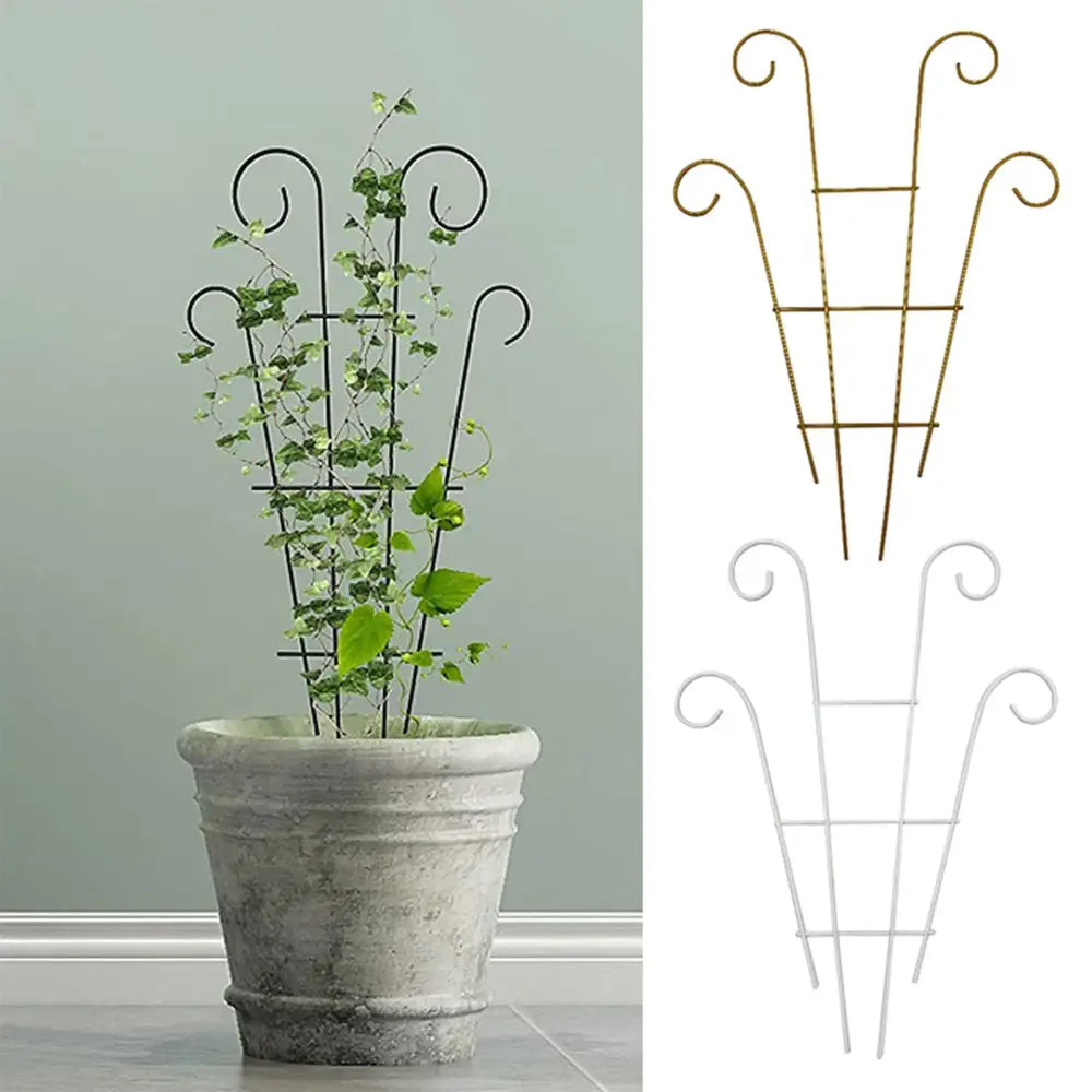 Black wrought iron metal garden plant stand with curved ornate trellis supporting vine in textured gray pot