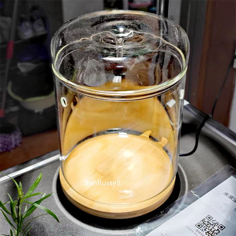 Mini Glass Bottle Terrarium Kit - Home Decor - Vase