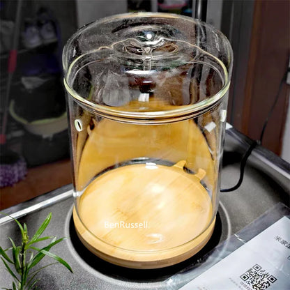 Mini Glass Bottle Terrarium Kit - Home Decor - Vase