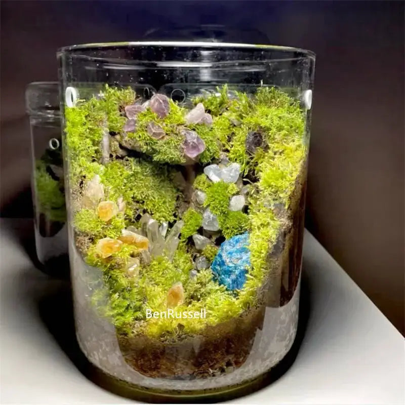 DecorBites™ mini glass bottle terrarium kit with vibrant green moss and blue crystals for home decor landscape glass